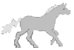 anigal.gif (12232 octets)