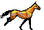anim202.gif (10293 octets)