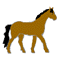 anitw.gif (11641 octets)