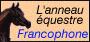anneau1.jpg (2592 octets)