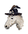 hallpony.gif (4468 octets)